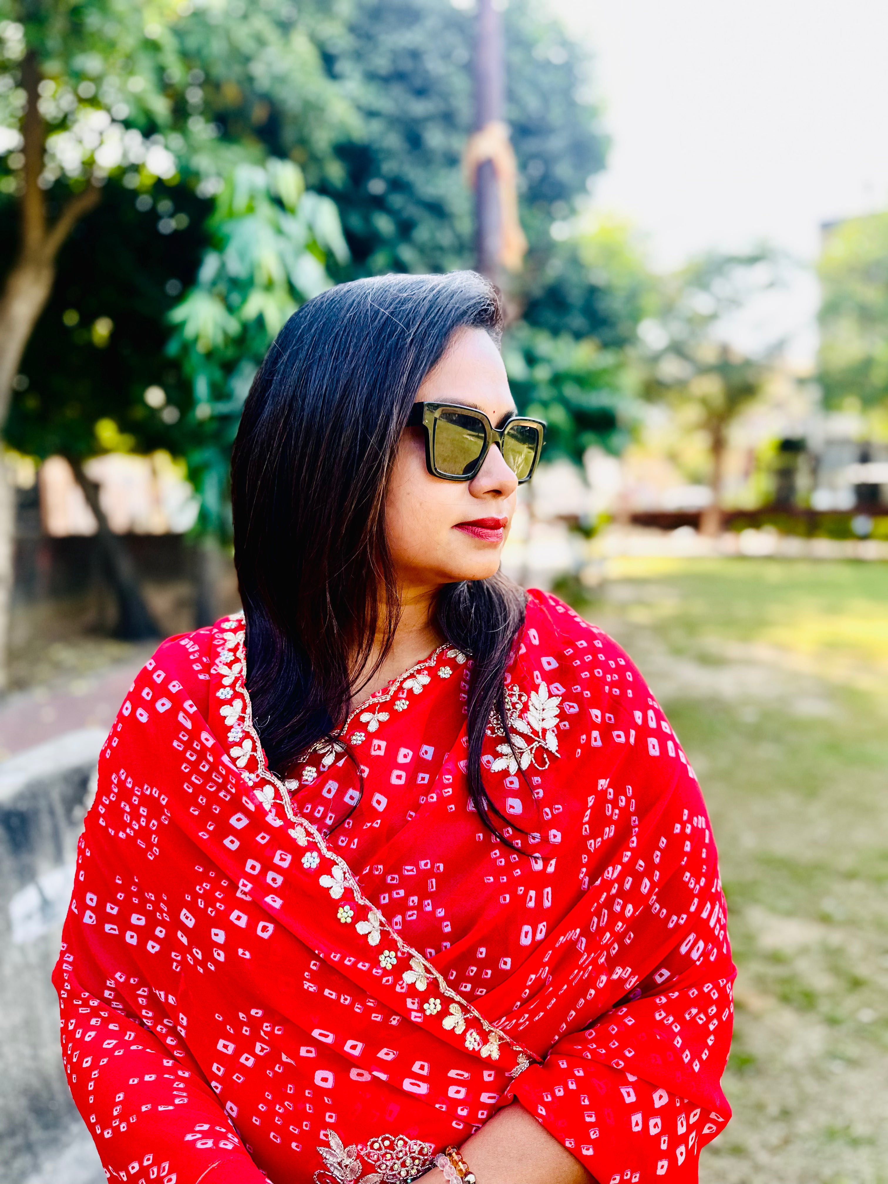 Chiffon HandMade Pitta Aari Work Bandhani saree